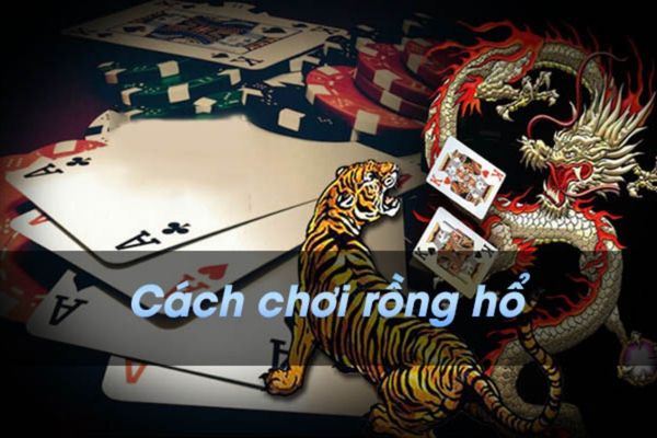 cách chơi rồng hổ