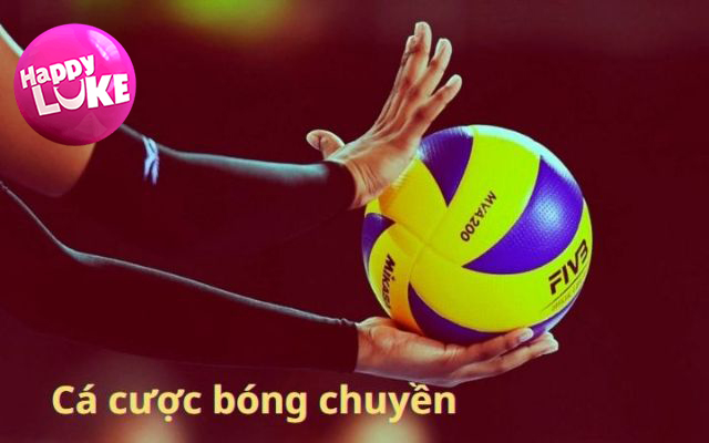 Cá cược bóng chuyền là gì?